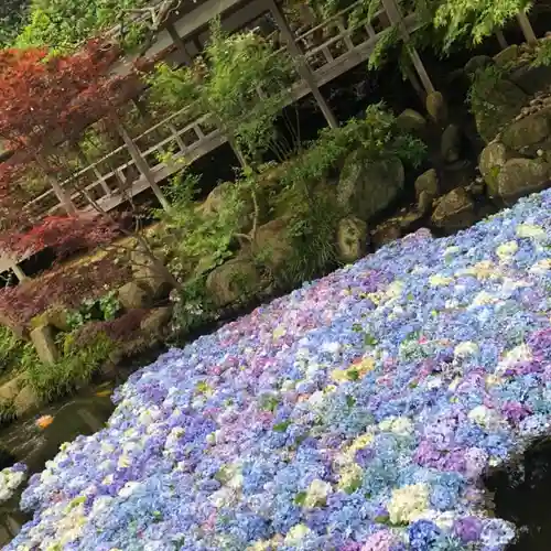 楽法寺（雨引観音）の庭園