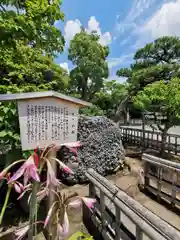 鶴岡八幡宮の建物その他