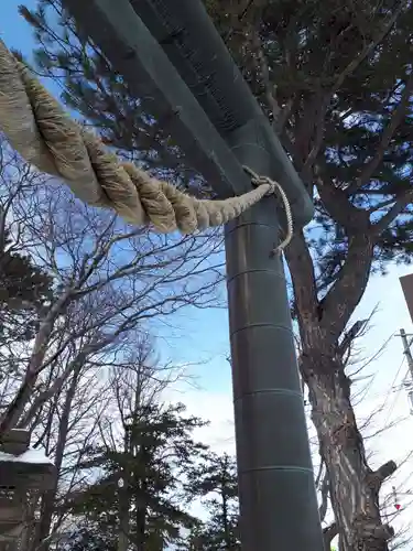 丘珠神社の鳥居