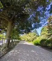 茨城縣護國神社(茨城県)