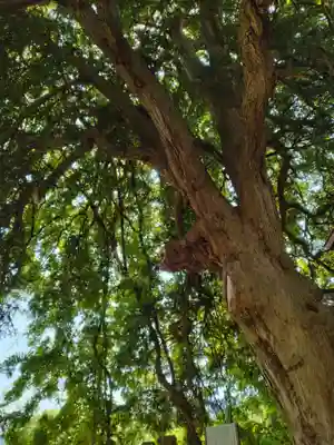 深山神社(福島県)