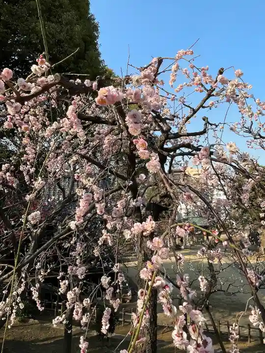 西向天神社(東京都)