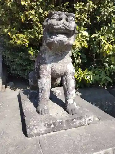 鶴岡八幡宮の狛犬