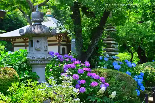 妙楽寺(神奈川県)