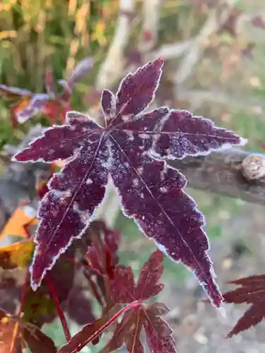 豊景神社の自然