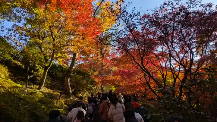 東福禅寺(東福寺)(京都府)