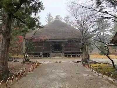 毛越寺の本殿・本堂