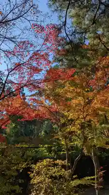 妙祐久遠寺(京都府)