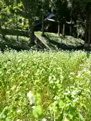 子檀嶺神社(長野県)