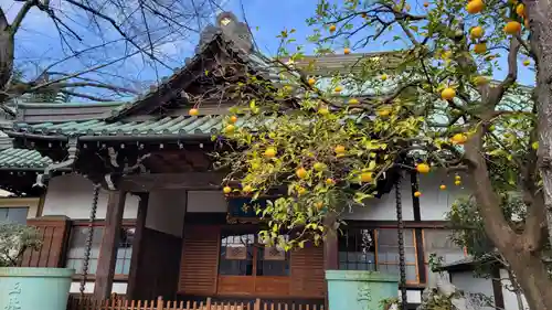 玉林寺のその他建物