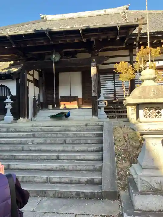 楽法寺(雨引観音)の{uncategorized: "未分類", other: "その他", undefined: "問題あり", building: "その他建物", grave: "お墓", sacred_gate: "鳥居", guardian: "狛犬", statue: "像", buddha: "仏像", history: "歴史", nature: "自然", garden: "庭園", animal: "動物", pagoda: "塔", temizu: "手水舎", mountain_gate: "山門・神門", sanctuary: "本殿・本堂", subordinate: "末社・摂社", art: "芸術", scenery: "景色", jizo: "地蔵", ema: "絵馬", goshuin: "御朱印", omikuji: "おみくじ", items: "授与品その他", amulet: "お守り", goshuincho: "御朱印帳", eats: "食事", festival: "お祭り", votive_dance: "神楽", shichigosan: "七五三参", wedding: "結婚式", experience: "体験その他", initially: "初詣", around: "周辺", anti_infection: "感染症対策"}