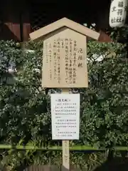 晴明神社の自然