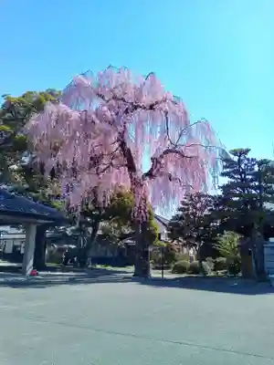 道仁寺(宮城県)