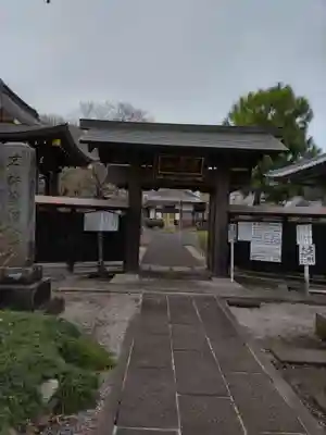 智観寺の山門・神門