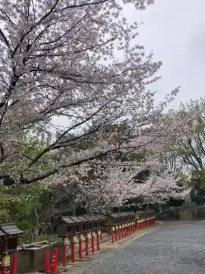 成田山大阪別院　明王院(大阪府)