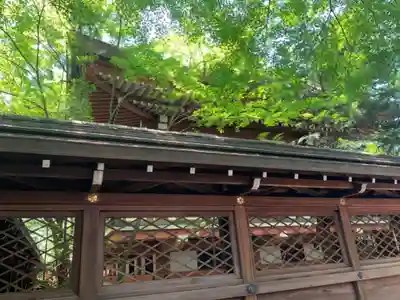 御霊神社(上御霊神社)の本殿・本堂