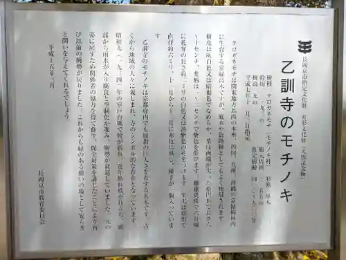 乙訓寺(京都府)