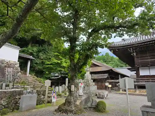 西教寺(滋賀県)