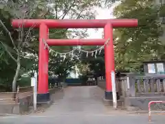 本太氷川神社(埼玉県)