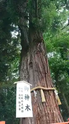 息栖神社のその他建物