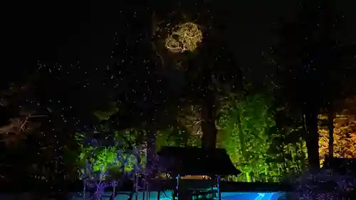 瑞巌寺(宮城県)