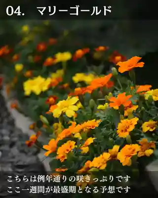 宝光寺(北海道)