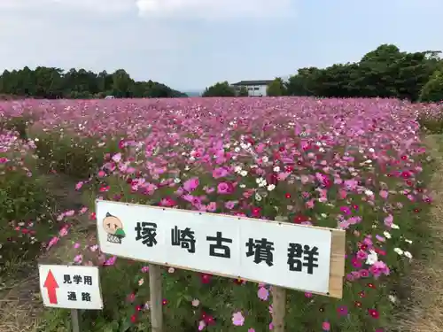 八幡神社の周辺