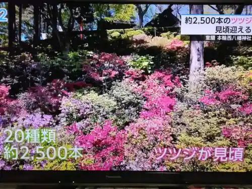 本輪西八幡神社(北海道)