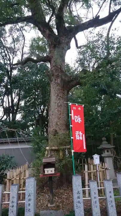 富部神社の自然