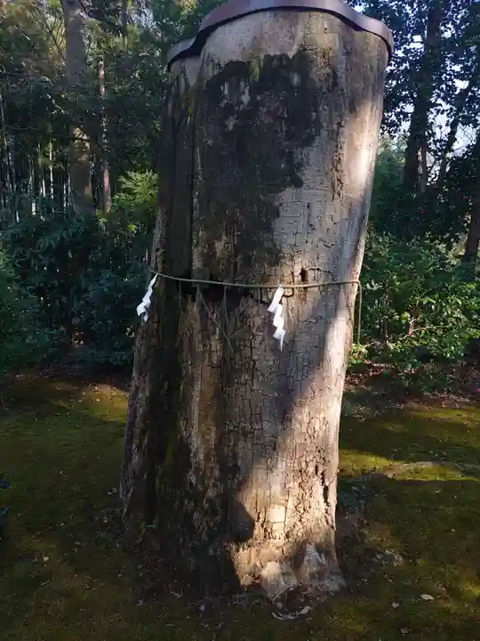 子安神社の自然