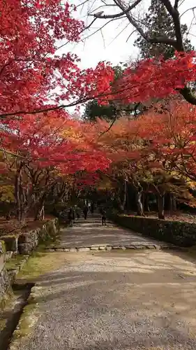 西明寺の自然