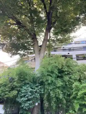 文殊院(東京都)