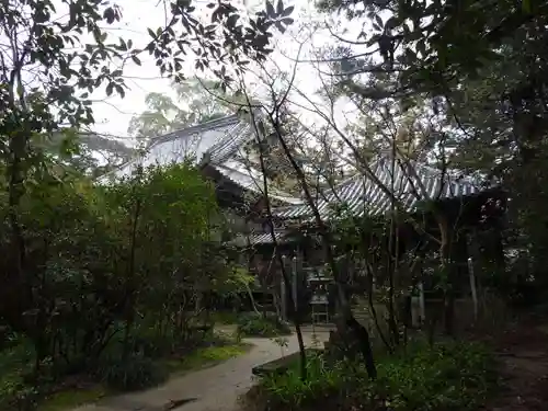 浄瑠璃寺(愛媛県)