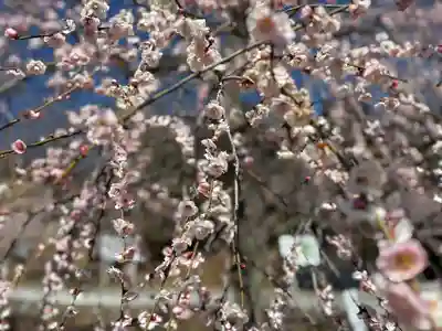 不動寺(埼玉県)