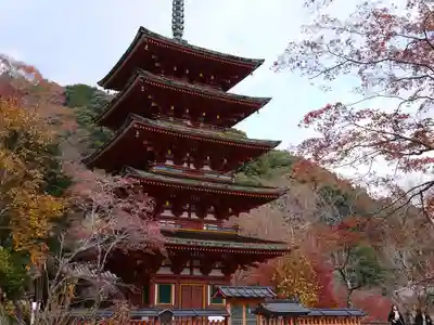 長谷寺のその他建物