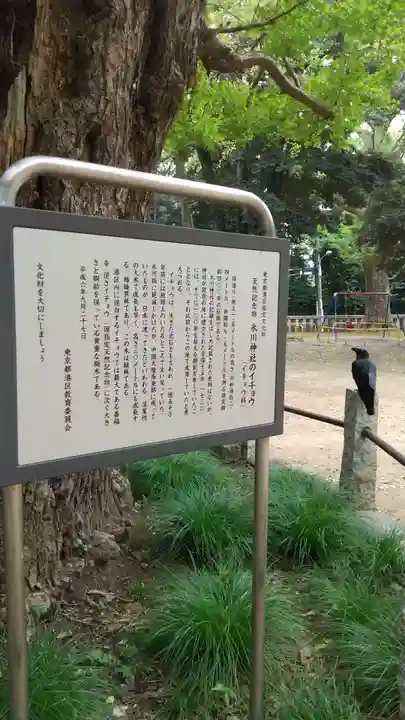 赤坂氷川神社の歴史