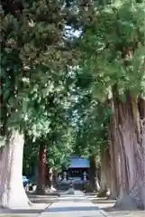 河口浅間神社の自然