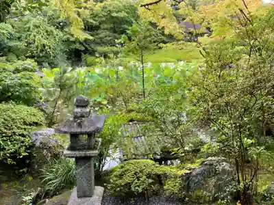 退蔵院(京都府)