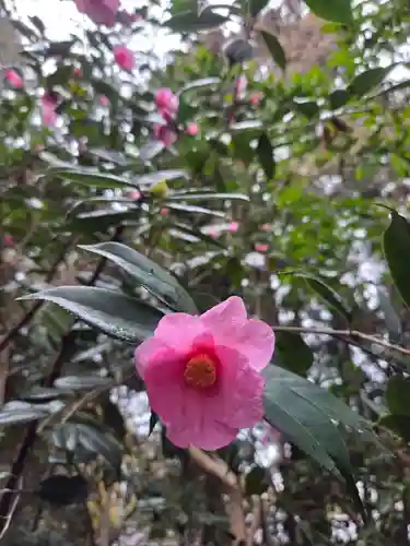 沙沙貴神社(滋賀県)