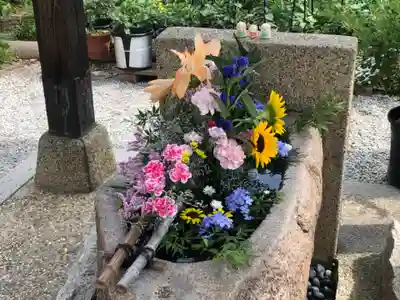 水堂須佐男神社の手水舎