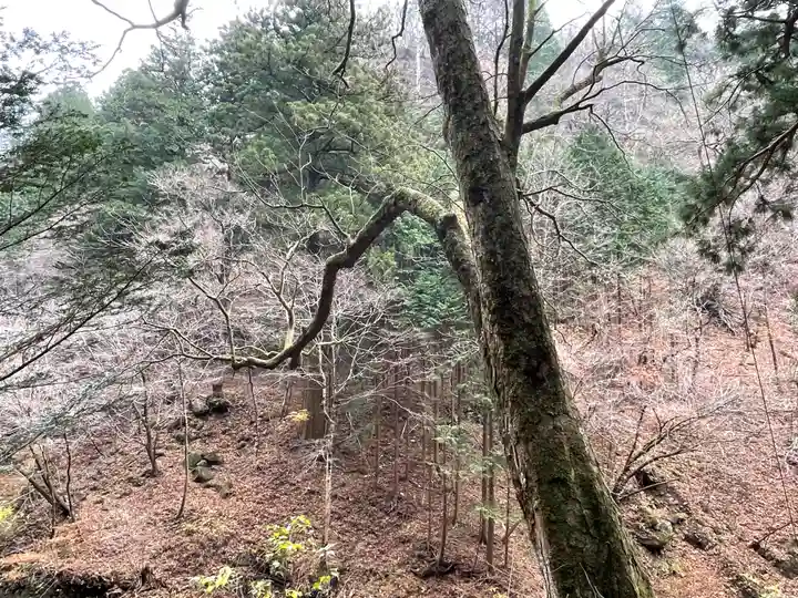 榛名神社の自然