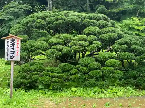 達谷西光寺(岩手県)