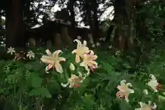 鬼渡神社の自然