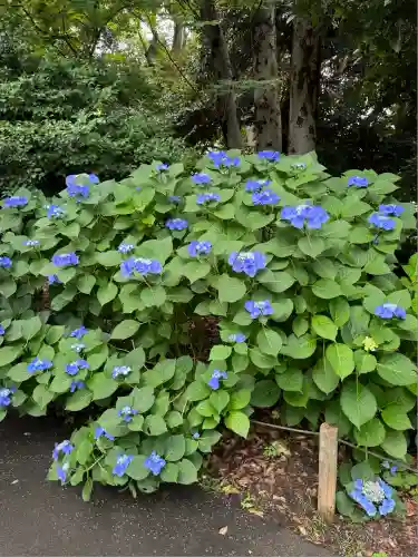 上野東照宮(東京都)