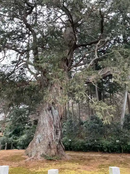 大智寺(岐阜県)