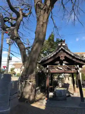 御劔神社の手水舎