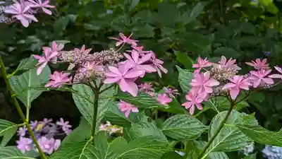  智積院(京都府)