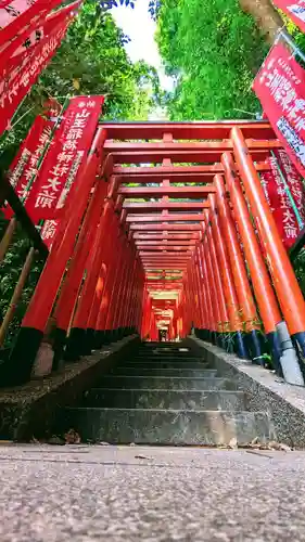 日枝神社の鳥居