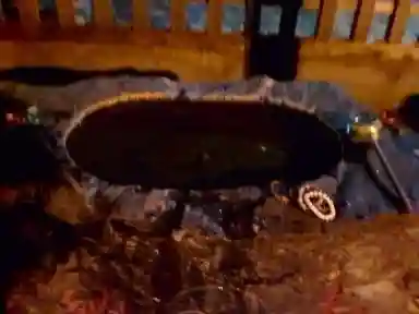 橘樹神社(神奈川県)