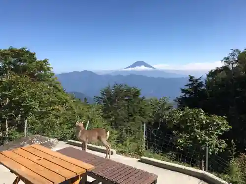 七面山敬慎院の景色